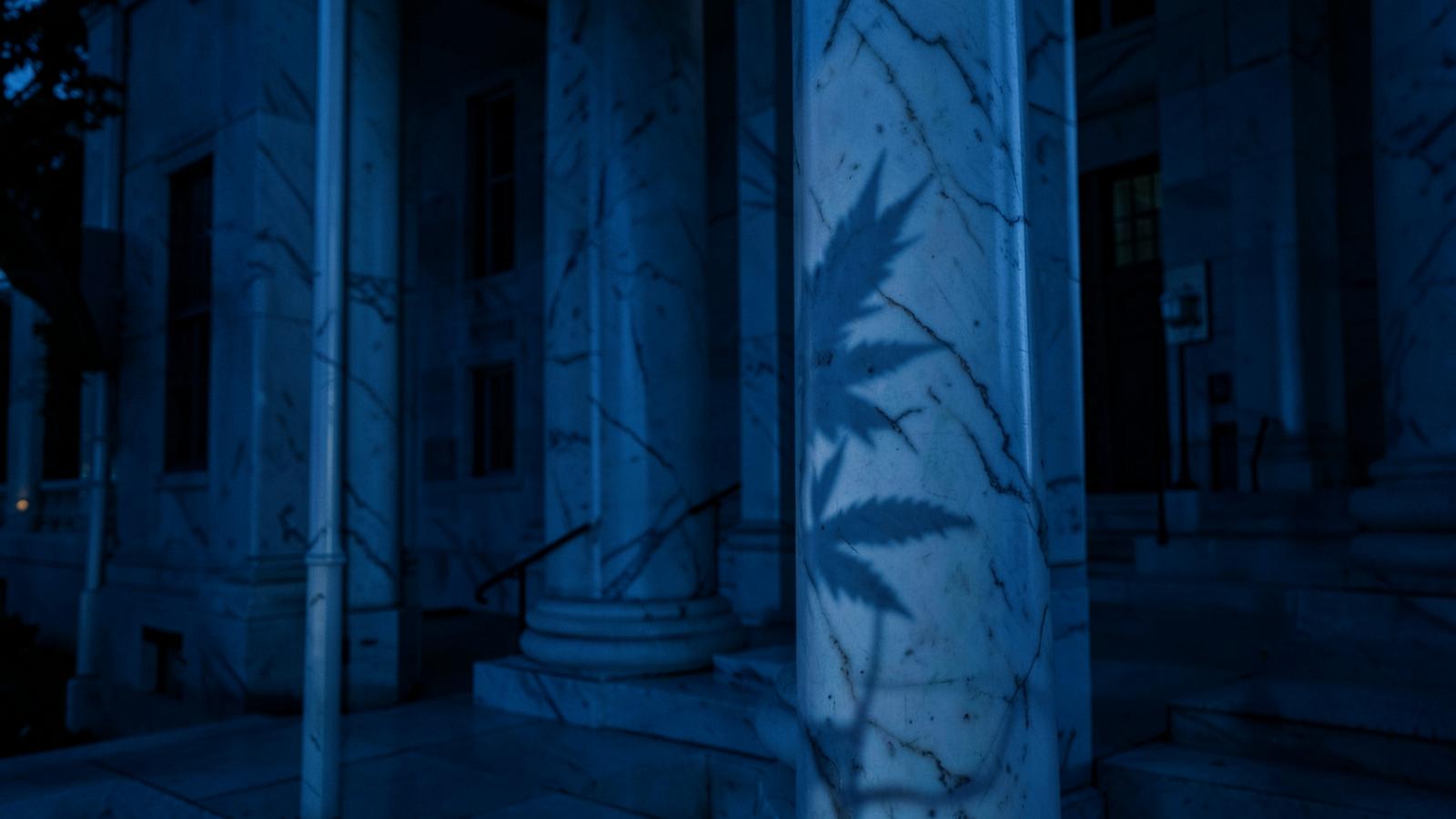 Federal courthouse marble columns at dusk with a cannabis leaf shadow